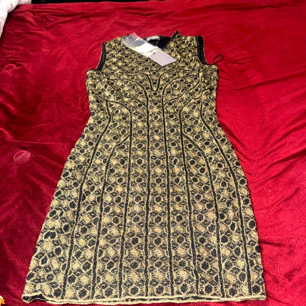 NWT Alexander McQueen Shimmery Sheath Dress